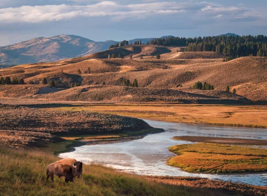 Best National Parks to Visit in the US: A Guide to 25+ Parks for Every Traveller