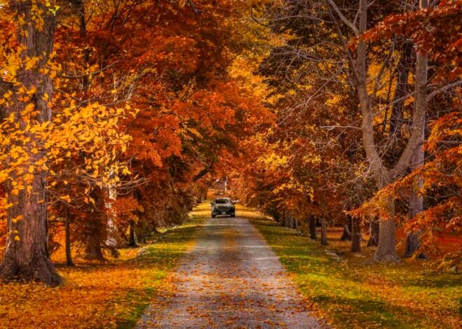 Best Day Trips From Toronto
