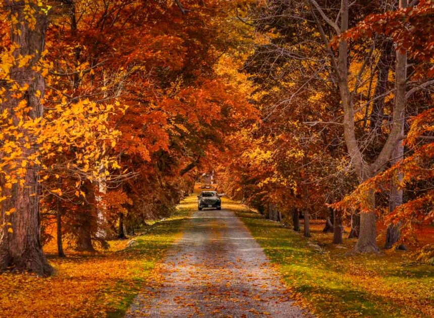 Best Day Trips From Toronto