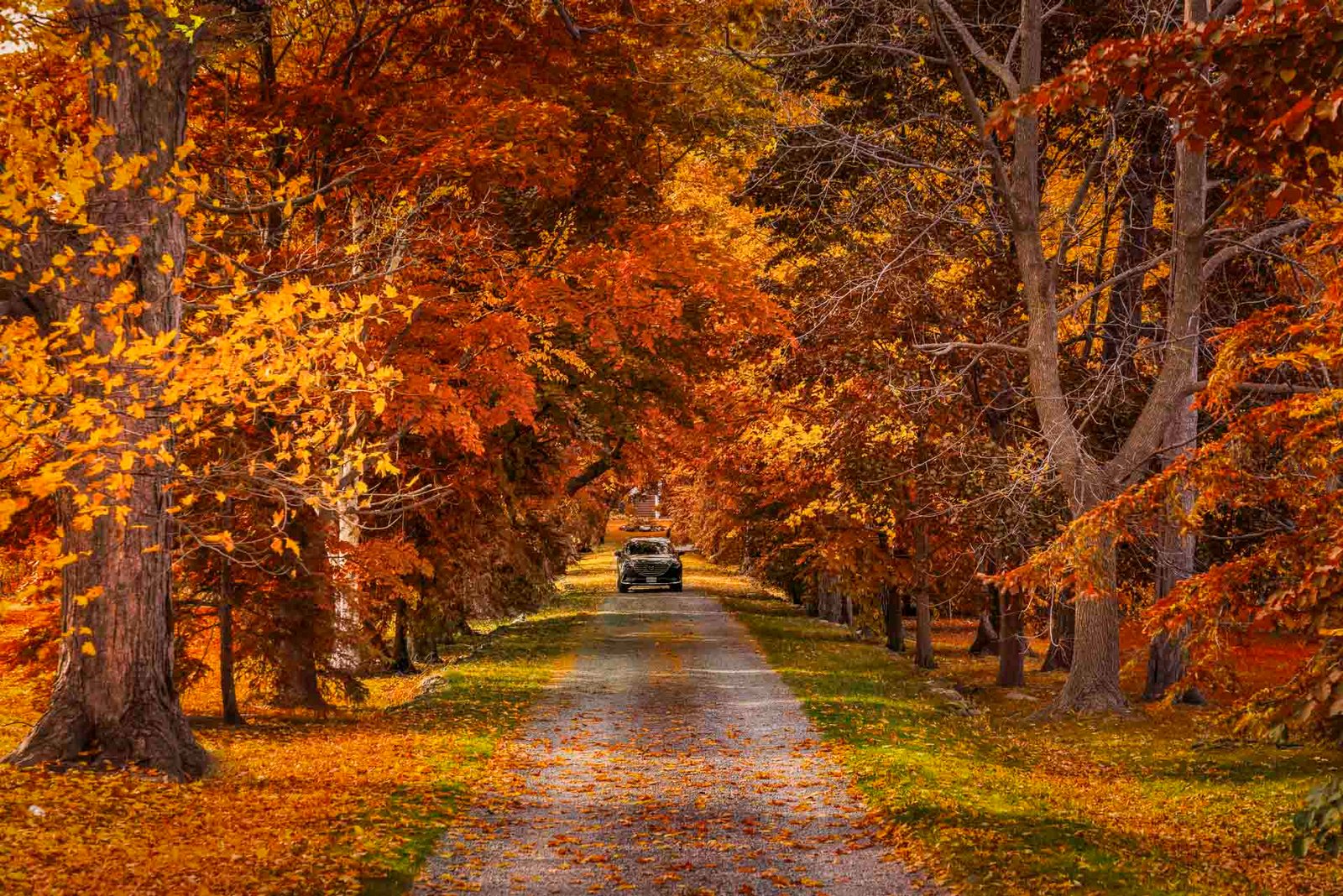 Best Day Trips From Toronto